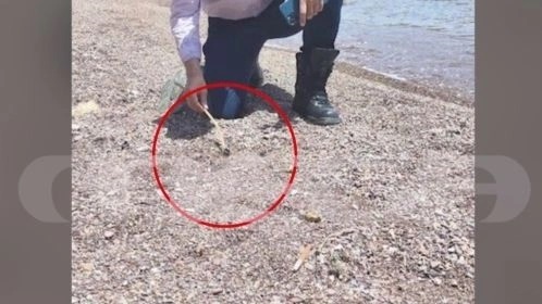 Ανατροπή με τη φωτιά στην Ύδρα: Η πυρκαγιά προκλήθηκε από την ακτή, όχι από τη θαλαμηγό