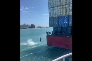 lathrometanastes_phdane_sth_thalassa