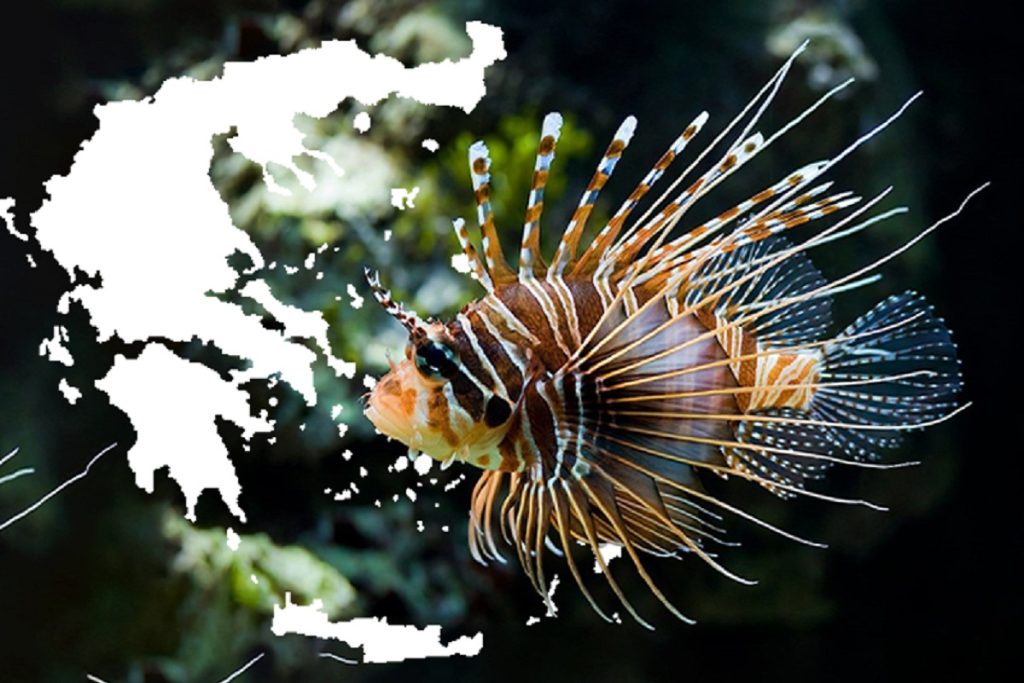 Πως επηρεάζει το λεοντόψαρο τις θάλασσες και τον κόσμο μας