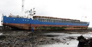 m_v_danio_tsouxtero_prostimo_