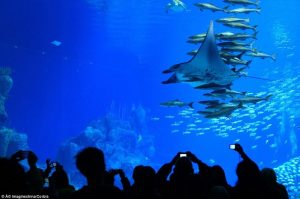 megalutero-ydatino-parko-ston-kosmo_2