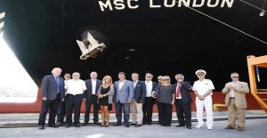 megalutyero-container2