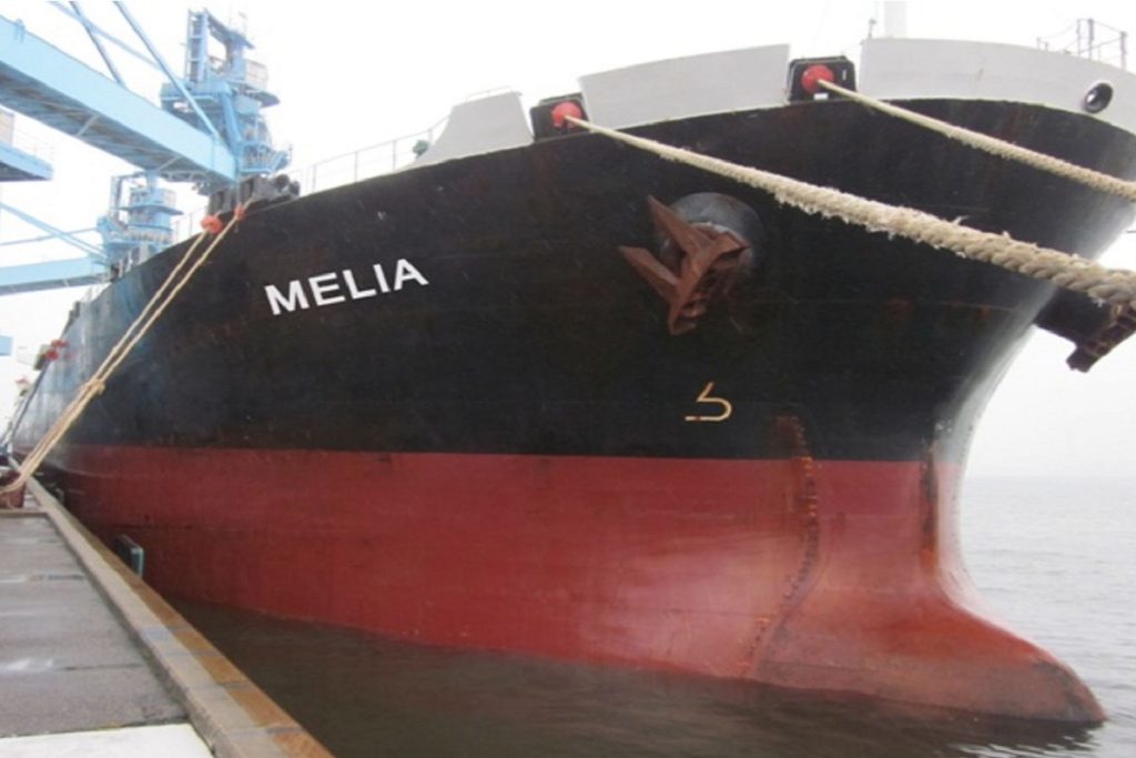 Diana Shipping : Νέα σύναψη συμφωνίας για την χρονοναύλωση πλοίου Panamax