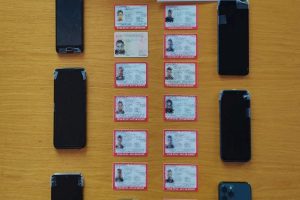 metanastes_paranomoi_