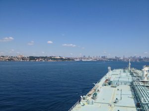 minerva_marine_pontoporos_nautilia