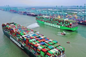 mponous_mamouth_apo_thn_evergreen