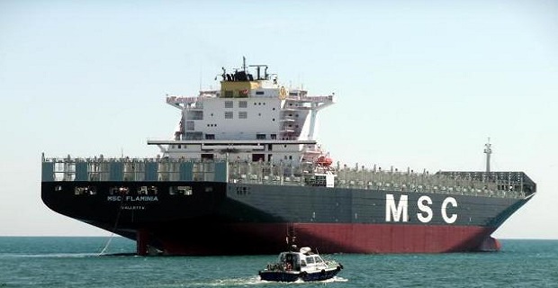 msc___flaminia_