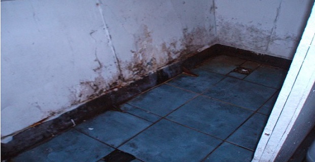 munzur_apagoreuthike_o_apoplous_