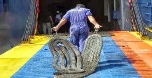 naftergatis-trava-skoinia