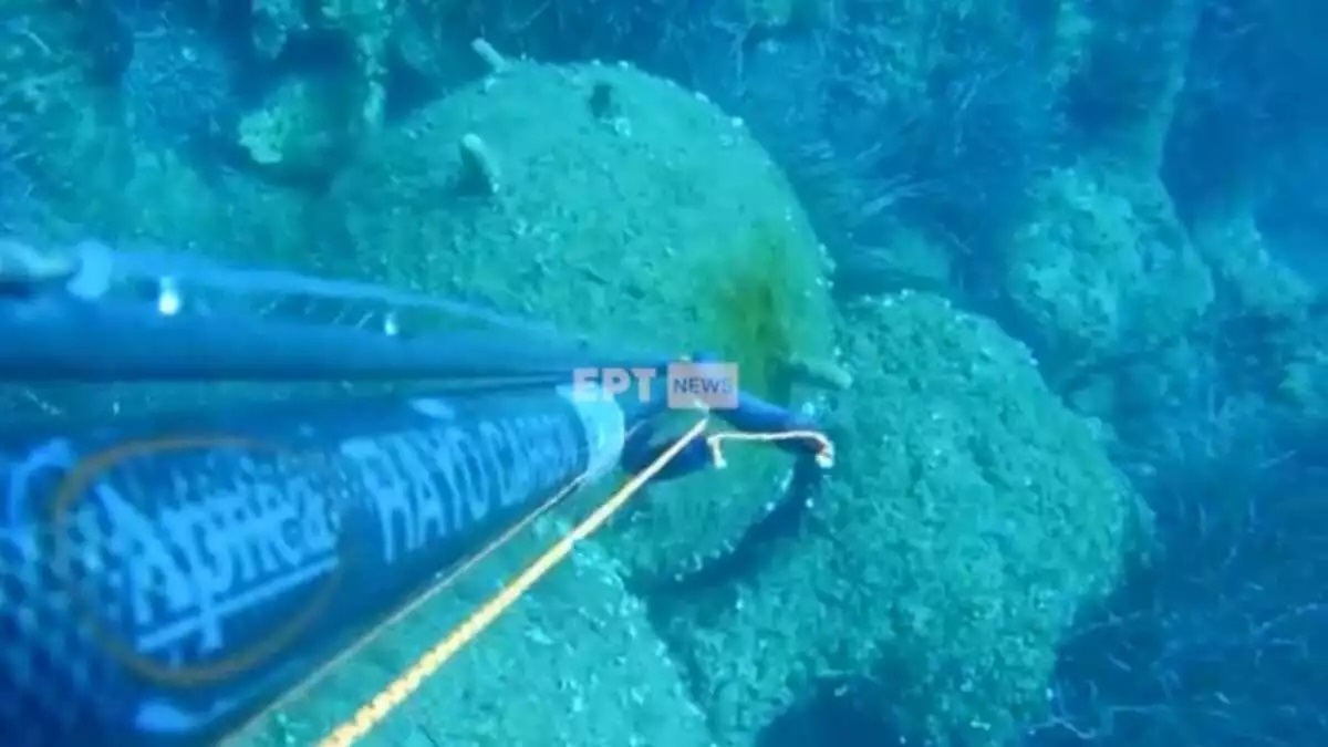 Κεφαλονιά: Η στιγμή που ψαροντουφεκάς εντοπίζει νάρκη στον βυθό – Εντυπωσιακές εικόνες