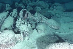 xr:d:DAFptp9XP78:145,j:7196024036259064149,t:23072612