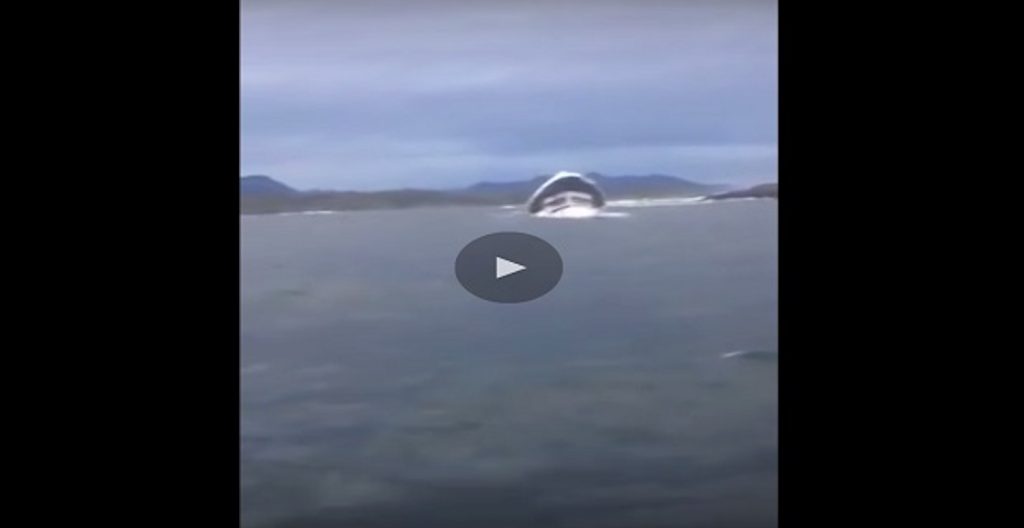 Ο συνωστισμός των επιβατών και ένα κύμα ευθύνονται για το ναυάγιο που έχει κοστίσει την ζωή τουλάχιστον 5 ανθρώπων 