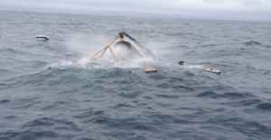 nauagoi_palepsan_kai_swthikan_