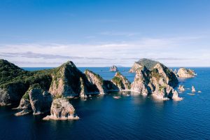 Alderman Islands Coromandel New Zealand