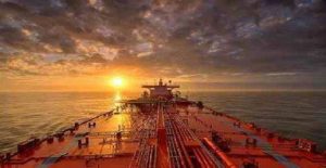 nautilia_efoplistes_lloyds