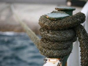 nees-kinhtopoihseis-apo-pemen