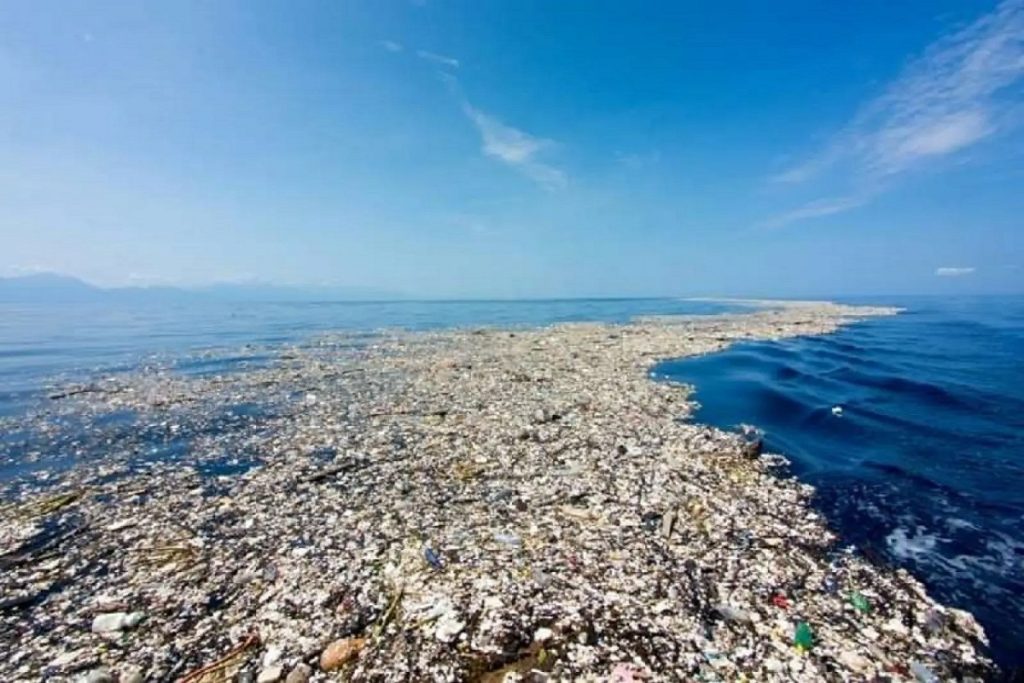 ΝΕΕ: Η συνεχής οικολογική καταστροφή επιφέρει δραματικές συνέπειες και στις θάλασσες