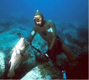 paranomh-alieia-sthn-alonnhso