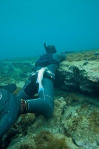 paranomo-psarema-me-psarontoufeko