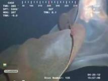 paraxeno-plasma-sunelhfthei-apo-kamera-duth