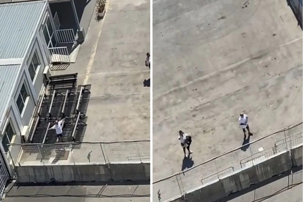 Ζευγάρι εκλιπαρεί τον καπετάνιο κρουαζιερόπλοιου να γυρίσει πίσω για να επιβιβαστούν στο πλοίο! (video)