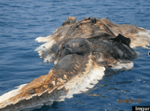 periergo-nekro-plasma-sti-thalassa