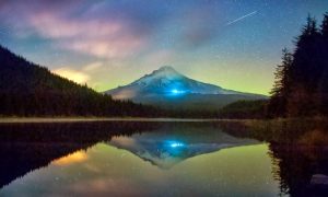 peutasteria_orionides