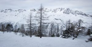 photosWinter2012_20121209_002