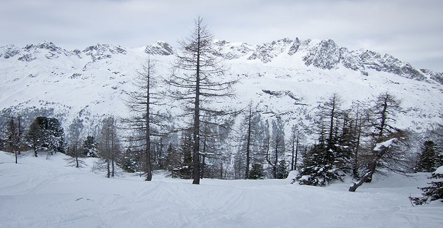 photosWinter2012_20121209_002