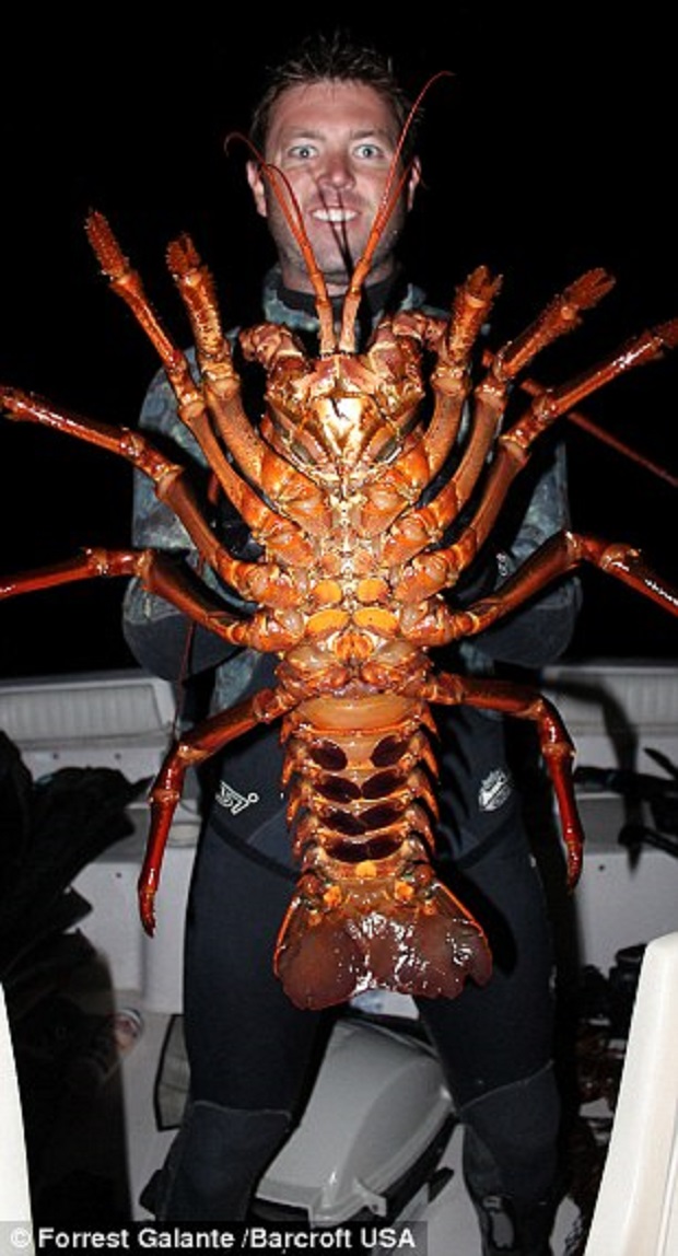 piastike-astakos-70-etwn1