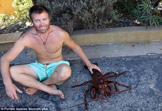 piastike-astakos-70-etwn3