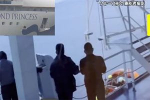 pilot_died_cruise_ship_