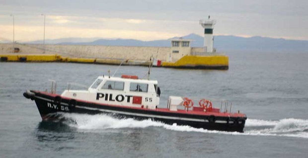 plohgikh_uphresia_nautilia_