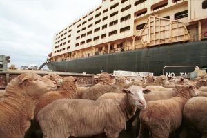 ploia_metaforas_zwwn_ta_pio_epikinduna_sto_kosmo