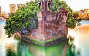 ploto-dasos-kentriki-1