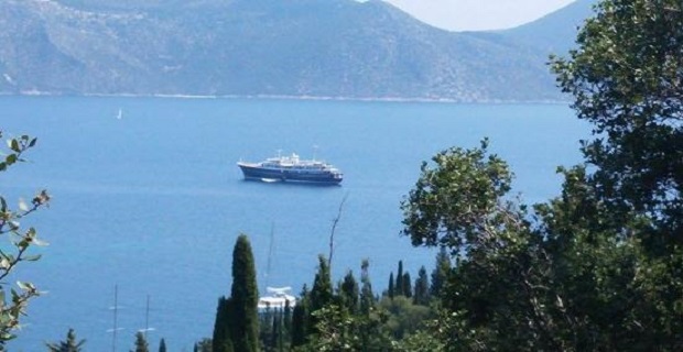 politelis_thalamigos