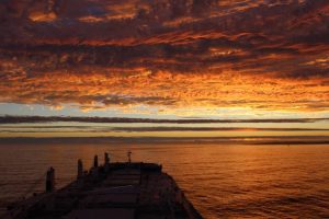 pontoporods_nautilia_sunset_