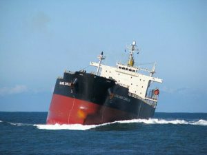 pontoporos-nautilia1