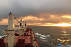 pontoporos-nautilia_