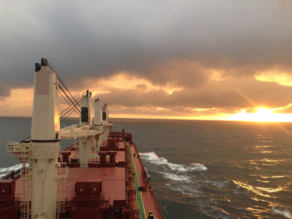 pontoporos-nautilia_