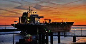 pontoporos_nautilia-