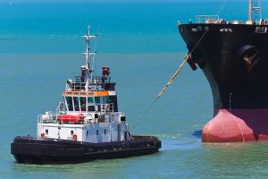 pontoporos_nautilia_-1