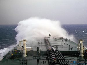 pontoporos_nautilia_