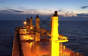 pontoporos_nautilia_