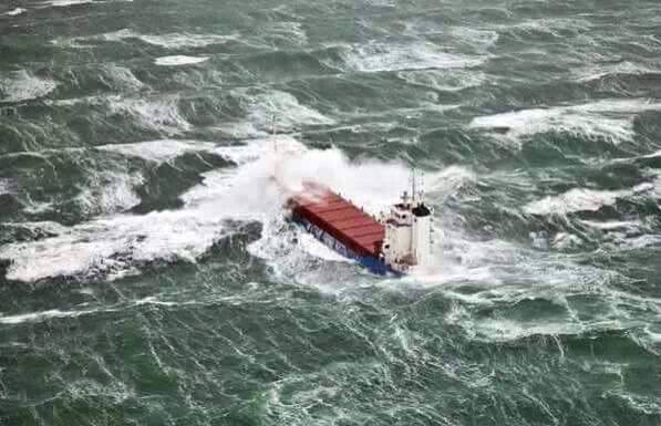 pontoporos_nautilia_ (2)