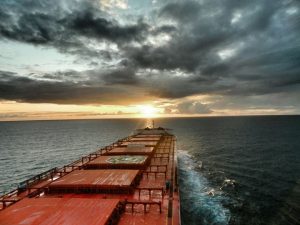 pontoporos_nautilia_-2