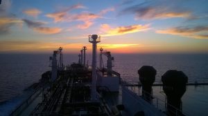 pontoporos_nautilia_-2