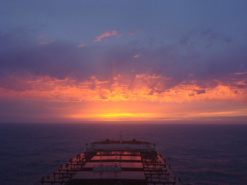 pontoporos_nautilia_ (2)