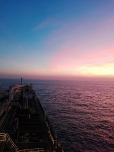 pontoporos_nautilia_-21