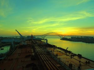 pontoporos_nautilia_